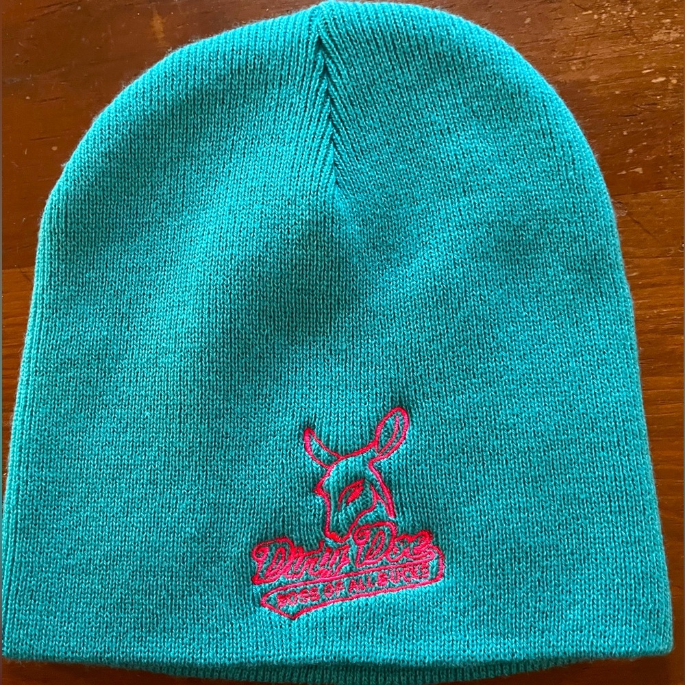 Adorable never been worn!! Dirty Doe teal/pink beanie. Super soft good as new!!